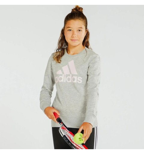 Adidas Girl BL Essentials Sweatshirt in Grau HM8706