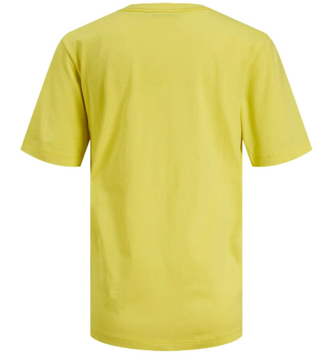 JJXX JXANNA T-Shirt Kurzarm Rundhals Regular Every Big Logo Gelb